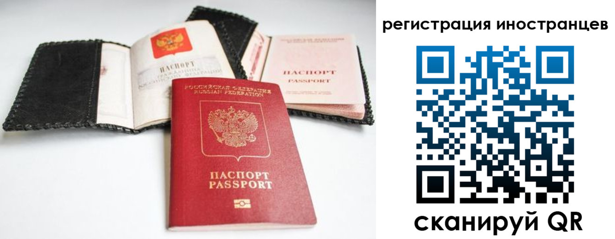 прописка гарантия в Рыльске